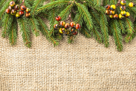 圣诞节背景与冷杉的树枝和装饰