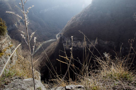 在雾中的山峡谷图片