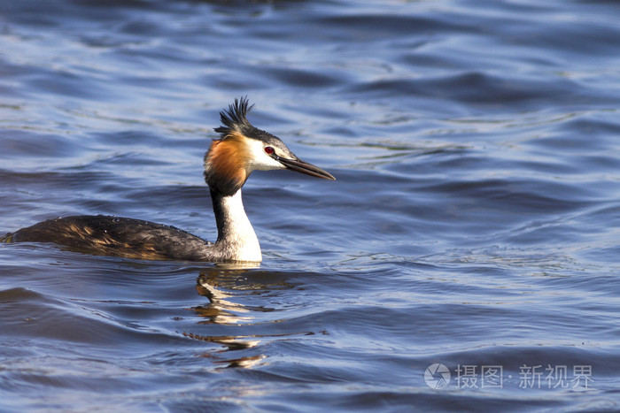 3081*2054px无水印下载免费10次/天下载小样发票合同问题/举报蓝色杰