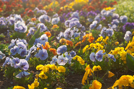 环境非城市图片-环境非城市素材-环境非城市插画-摄图新视界