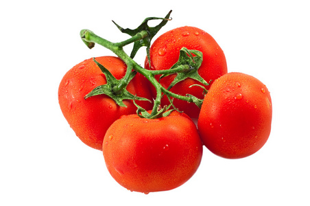 分支与白鲜熟的西红柿