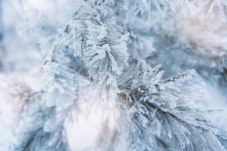 与许多雪花粗蓝色假日封面图片