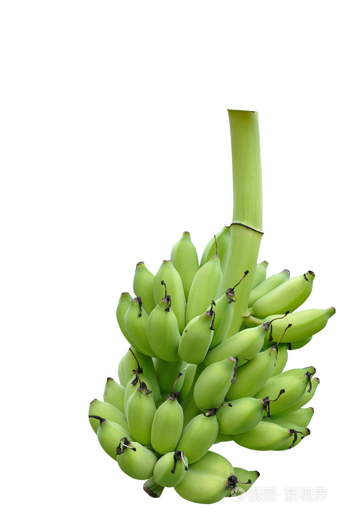 大串香蕉