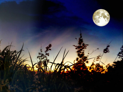 乌云遮住月亮图片