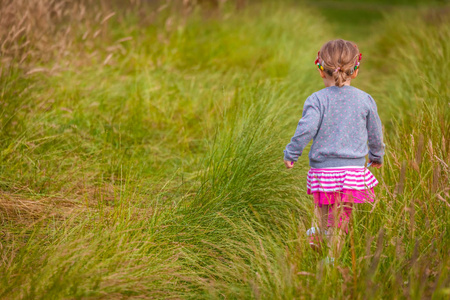 春天的草丛图片-春天的草丛素材-春天的草丛插画-摄图新视界
