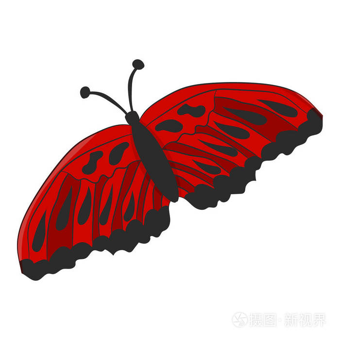 白色背景上的红色蛾矢量图