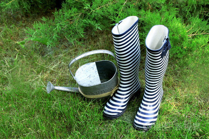 橡胶靴用喷壶在草丛中   园艺的概念