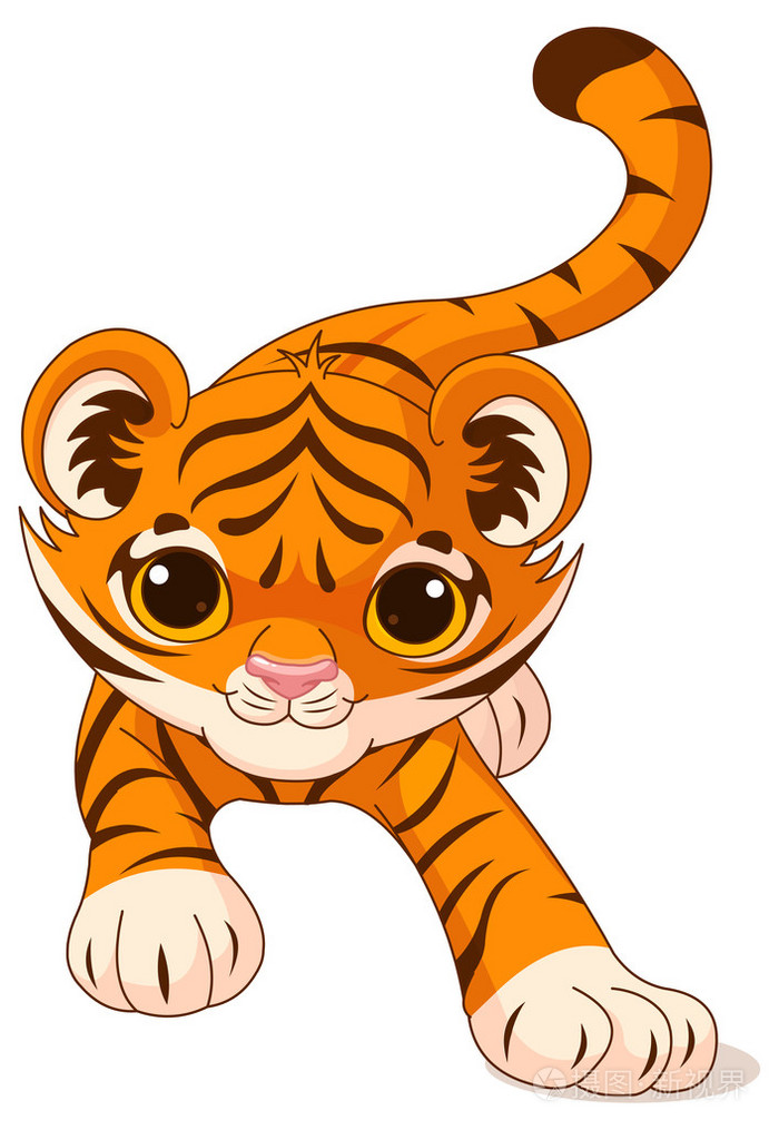 可爱的小宝贝虎藏龙的插图