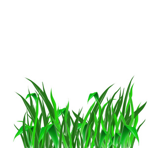 草绿色无缝质地