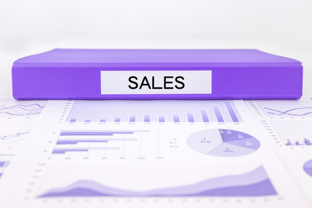 销售报告和业务收入营销图分析