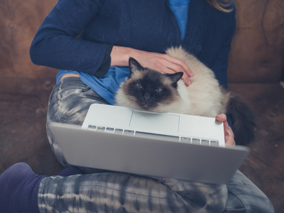 女人与猫和笔记本电脑