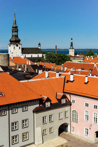 红色的屋顶的爱沙尼亚塔林老城