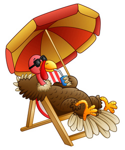 坐在沙滩椅上的卡通土耳其鸟