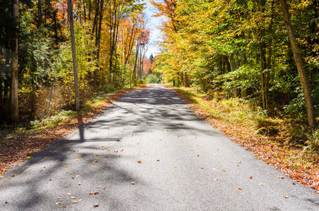 狭窄的道路两旁树木在秋天晴天
