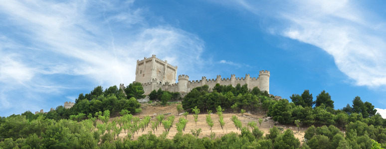 Castle of Peafiel in Valladolid, Spain