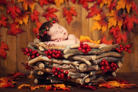 可爱的新生婴儿，锥体和浆果在秋天的落叶一篮子中的一环