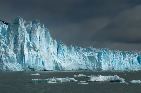 Perito Moreno 冰川特写，拉戈阿根廷