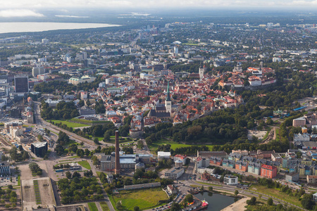 风景秀丽的夏天空中射击的老公园在爱沙尼亚塔林很旧城区