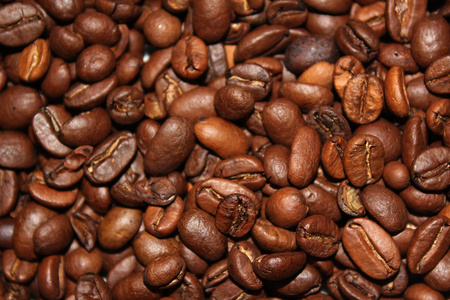 宏的咖啡豆