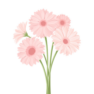 菊花束图片 菊花束素材 菊花束插画 摄图新视界 菊花束图片 菊花束素材 菊花束插画 摄图新视界
