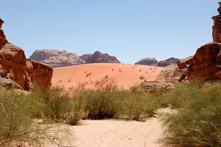 瓦迪朗姆酒沙丘景观 Jordan