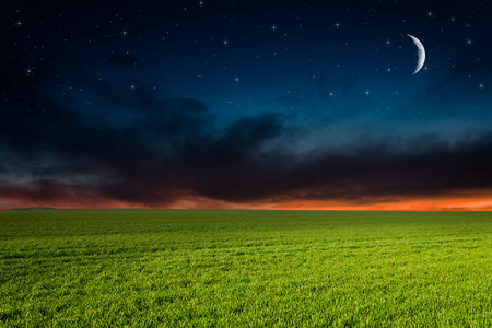 绿色的田野，在夜间