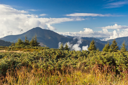 在山的夏天风景