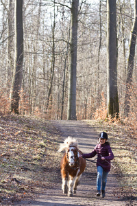 一匹马在森林里的女孩
