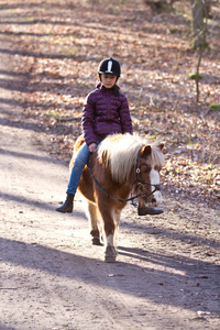 一匹马在森林里的女孩