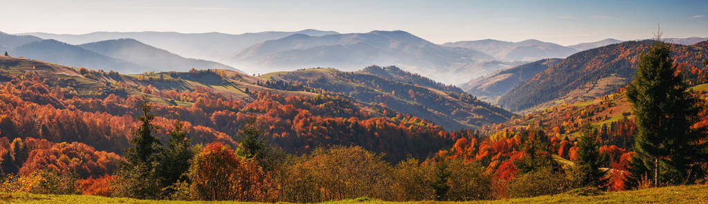 色彩鲜艳，明亮的秋天森林，山全景