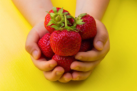 少数几个新鲜 成熟的草莓，在儿童的手中