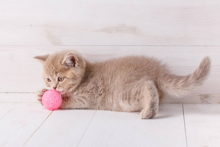 小猫玩木背景上的粉红色球