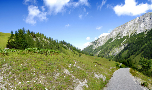 高寒草甸和路