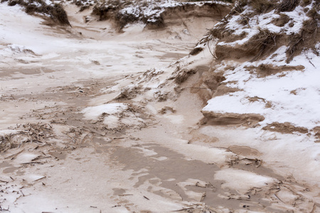 在海滩上的雪和冰冬季沿海景观图片