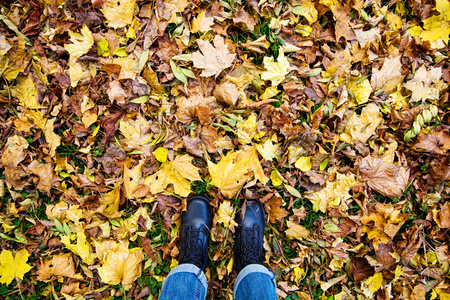 秋天的树叶与男人的脚