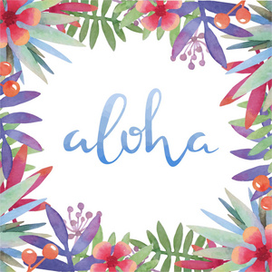 夏威夷 aloha 与热带叶帧