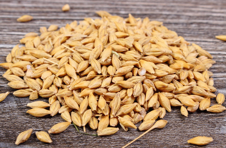 大麦籽粒大堆图片