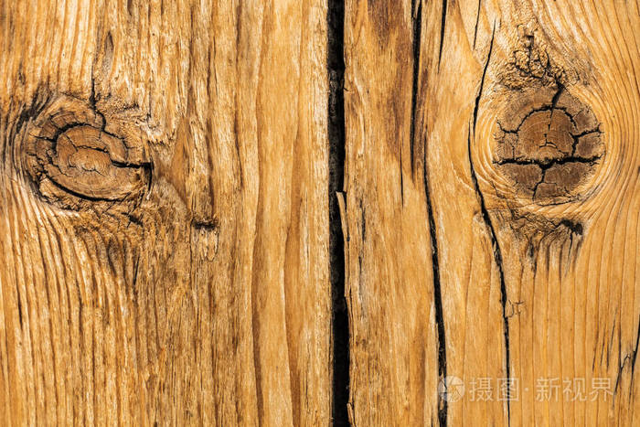 纹理的老木特写