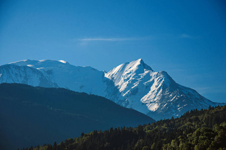 森林 高山景观和蓝蓝的天空，在背景中