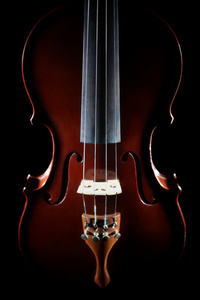 小提琴乐队乐器