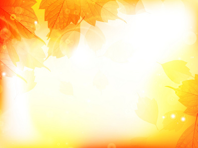 秋天设计秋天的设计背景,与叶照片
