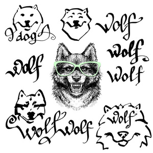 狼在眼镜矢量打印 t恤