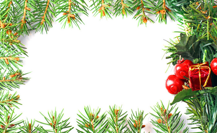 云杉在白色背景上的树枝圣诞框架