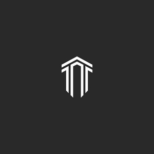 字母 T 徽标会标组合的两个字母 Tt 平行线形状等距形式的盾牌，创意现代的会徽，时髦的排版设计元素