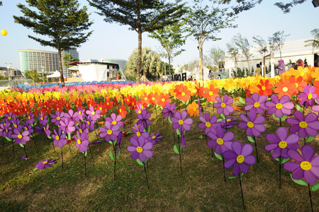 风车花素材图片 风车花图片素材下载 摄图新视界