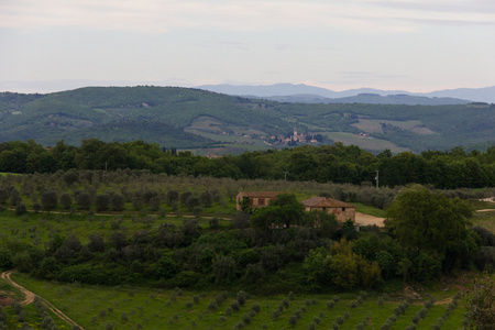 托斯卡纳的农舍俯瞰橄榄种植园