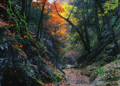 克里米亚大峡谷丁峡谷