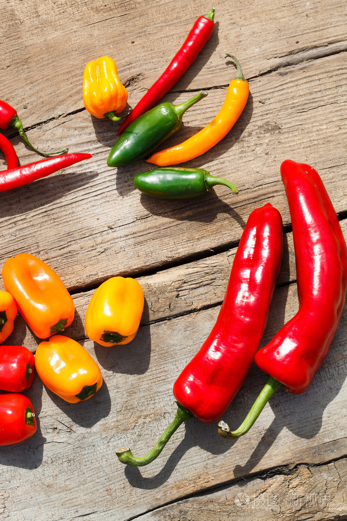 不同种类的辣椒