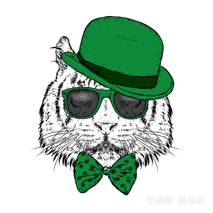 一只戴着帽子和眼镜的漂亮老虎.矢量插图.野生动物, 食肉动物