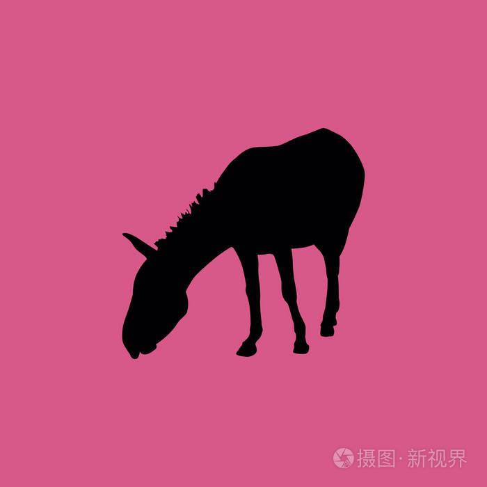 驴的图标平面图标图孤立的标志符号